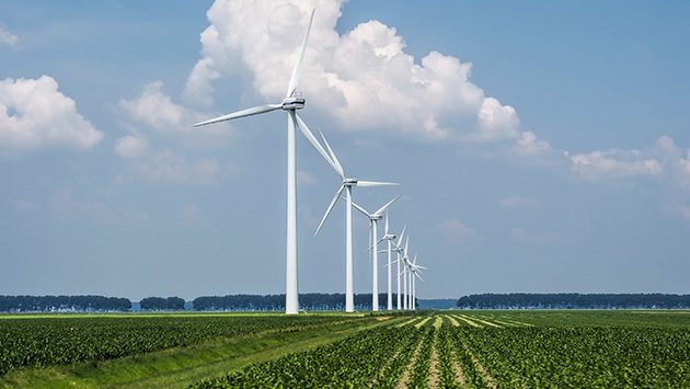 Quality Governance and Maturity Improvements for Energy Solutions Company in the Netherlands